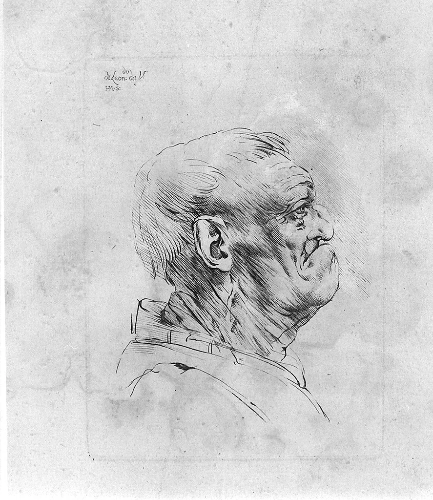 216-volto maschile di profilo - Vinci, Firenze